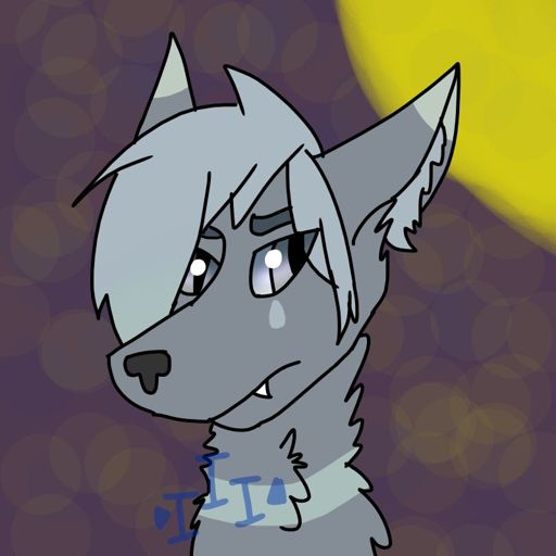 Drizzle | Wiki | Wolf Amino Amino