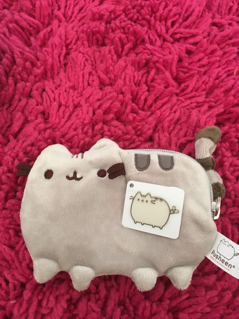 😍 Pusheen The Cat Amino Amino 5119