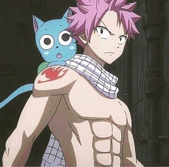 Fairy Tail Male Mages  Anime Amino