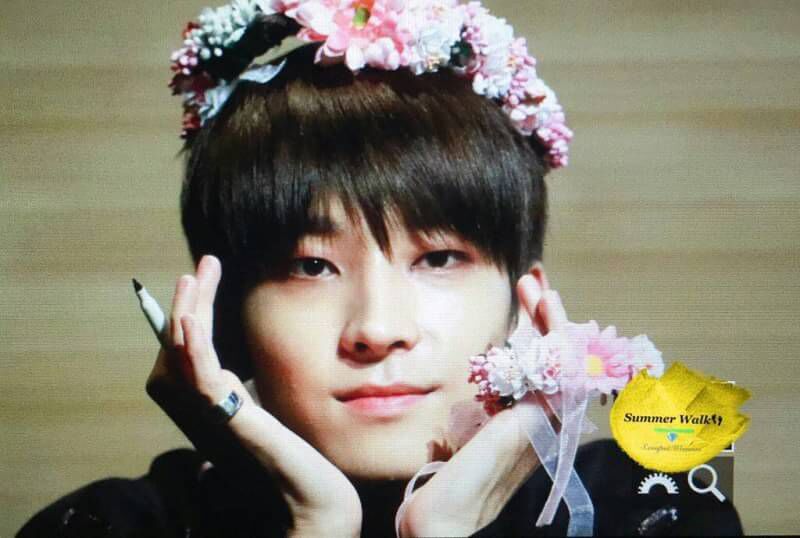 Get to know Jeon Wonwoo Wonwoo (원우) Amino