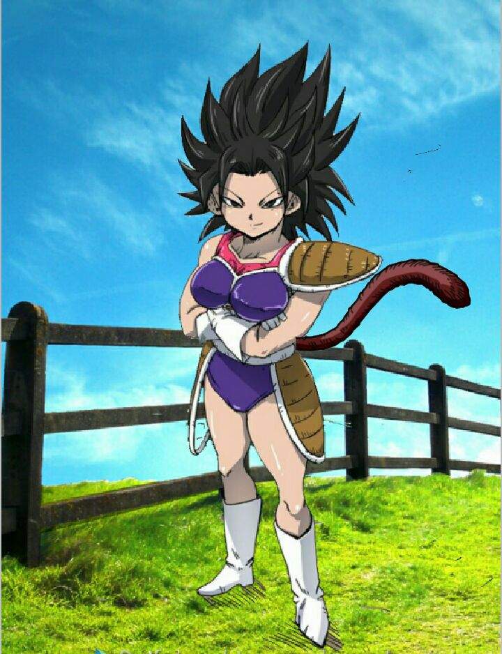 caulifla with a saiyan tail | DragonBallZ Amino