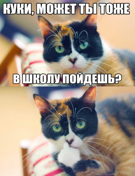 Прически Прически