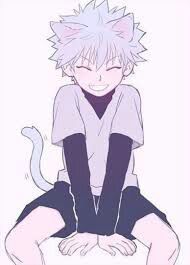 Killua as a cat | Wiki | Hunter x Hunter Amino