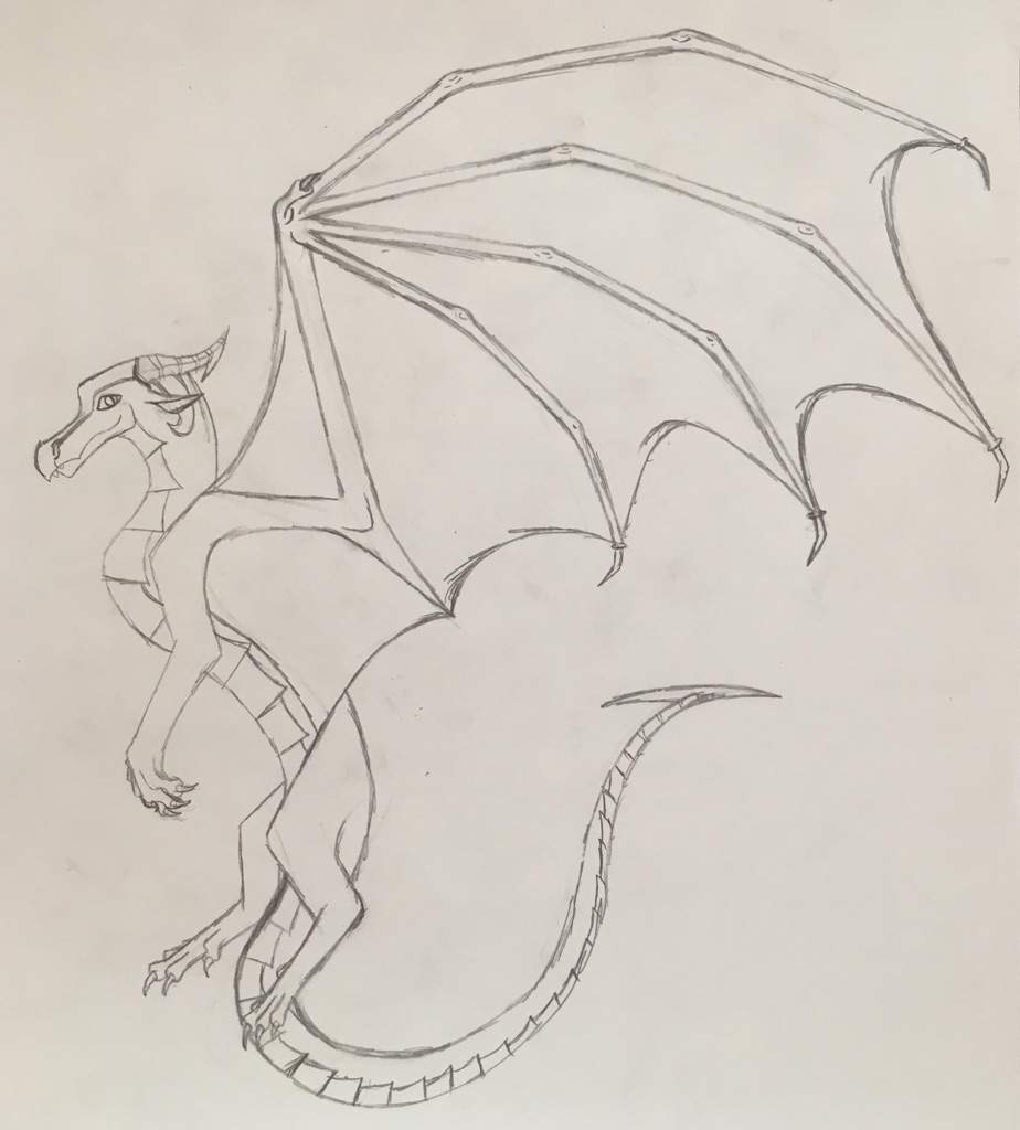 How To Draw Dragons From Wings Of Fire Trixie Wallpaper