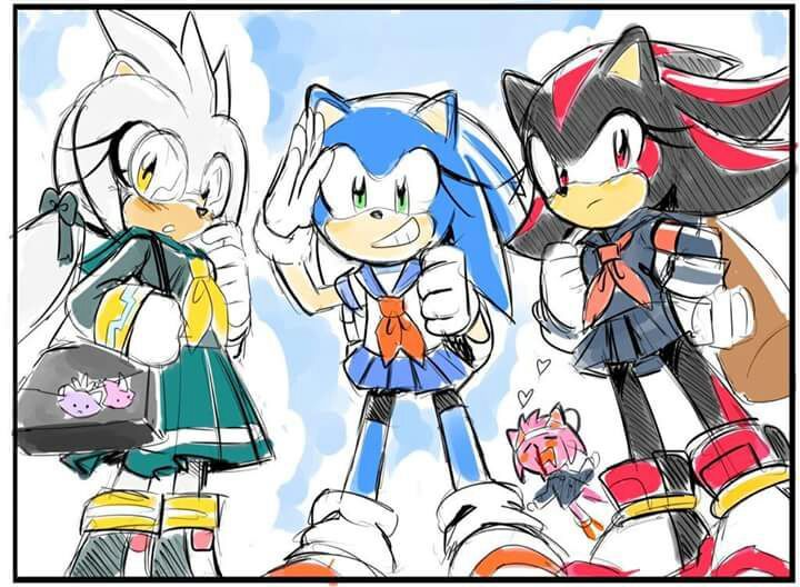 Sonic Rule 63 Sonic The Hedgehog Amino