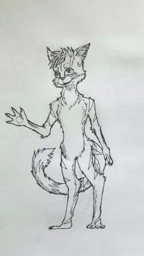 My brother's furry | Furry Amino