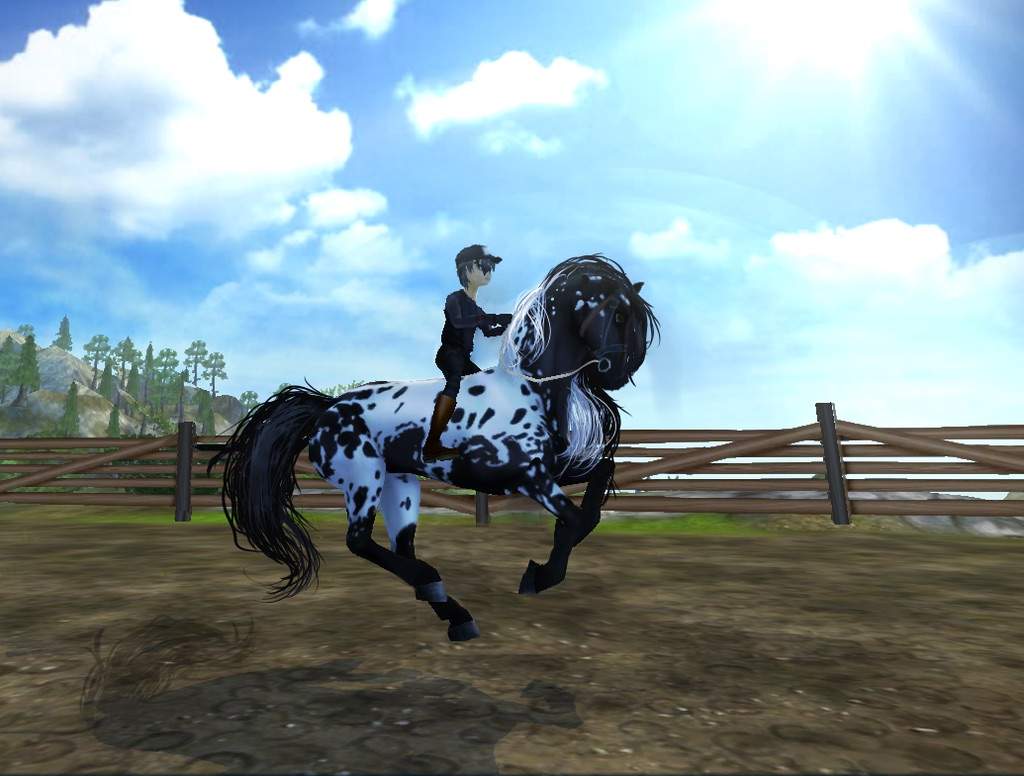 Edit (before and after) | Star Stable Online Amino