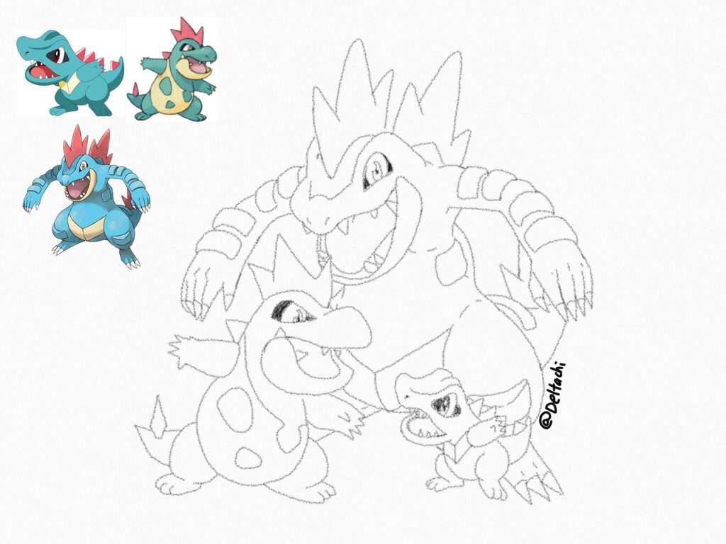 Totodile Evolution Pokemon Amino