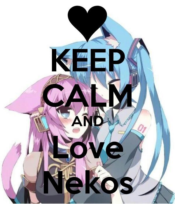 Nekos •anime• Amino