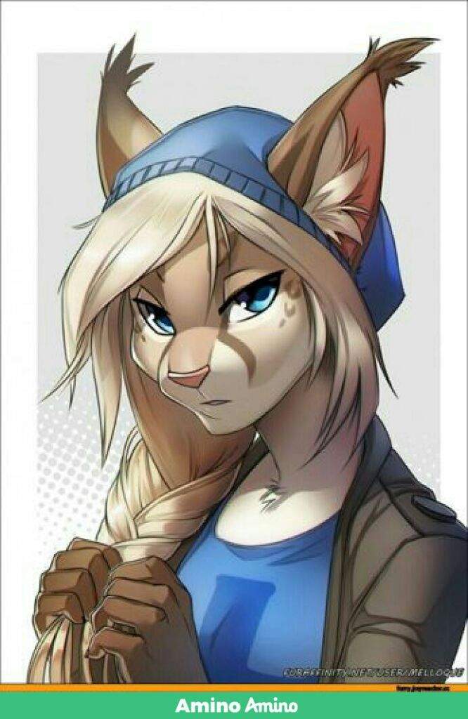 Furry O Otaku Anime Amino