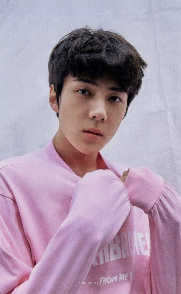 Sehun in Pink🌸my fave color💗 | K-Pop Amino