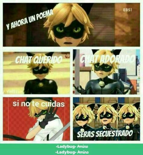 Un poema muy lindo | •Miraculous Ladybug Español• Amino