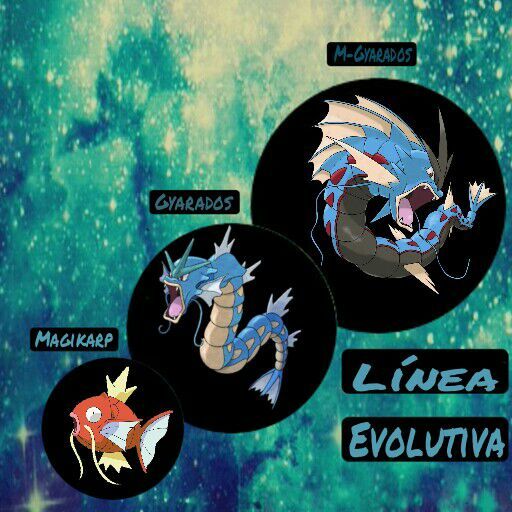 Magikarp | Wiki | •Pokémon• En Español