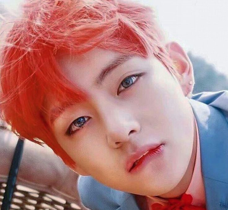 v-s-close-up-photos-army-s-amino