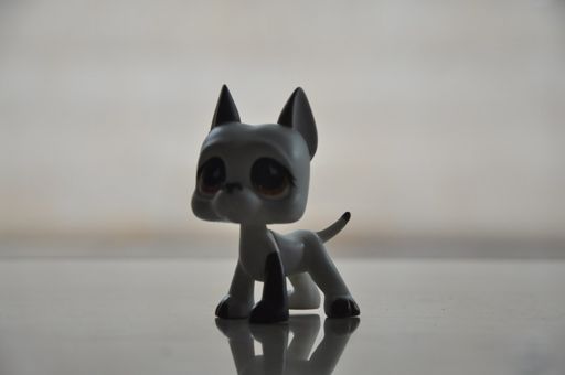 lps eye sparkle meaning