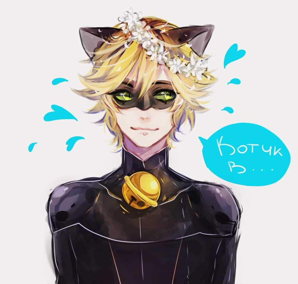 Adrien Chat Noir Wiki Miraculous Amino