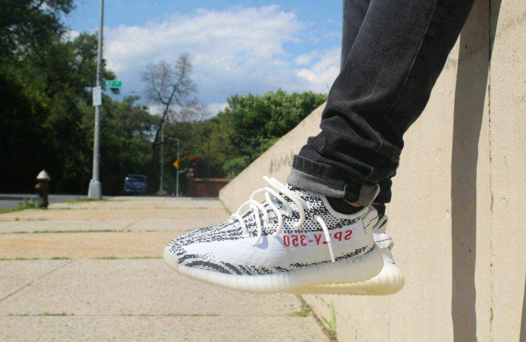 yeezy on feet zebra