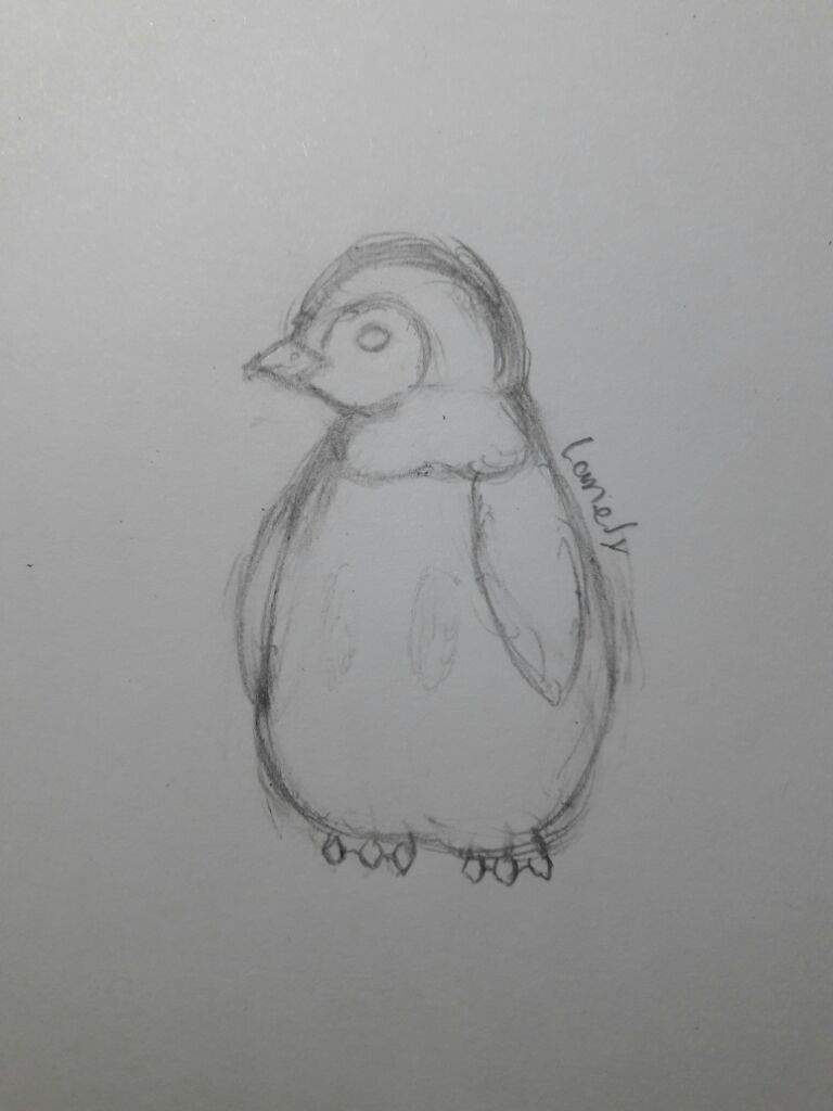 Realistic piplup (my art) | Pokémon Amino