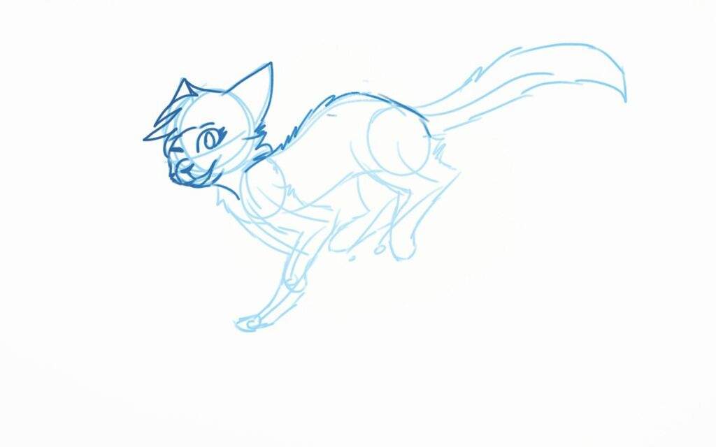 running cat wip warriors amino running cat wip warriors amino