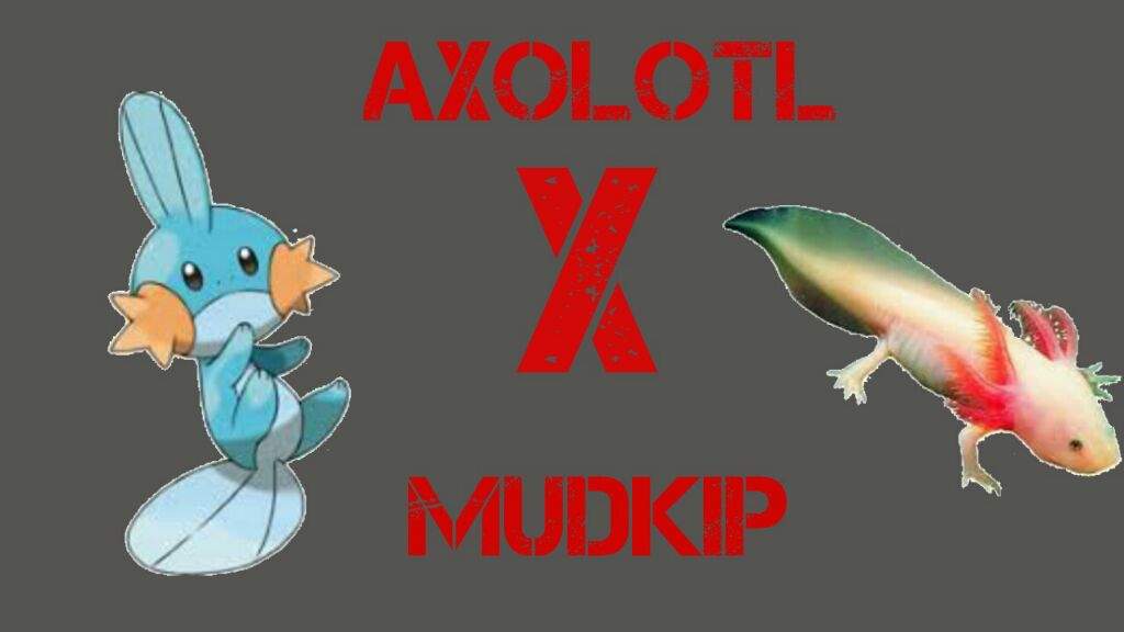 Pokemon Based On Real World Animals Pokemon Amino