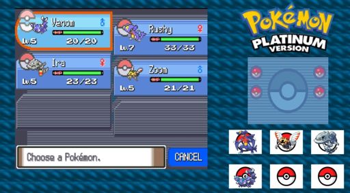 Pokemon platinum. Покемон платинум. Покемон Рандомайзер. Pokemon Platinum лучшая команда. Pokemon Platinum NDS Rus.