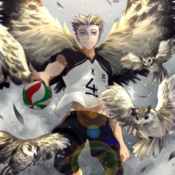 Bokuto Koutarou | Wiki | Anime Amino