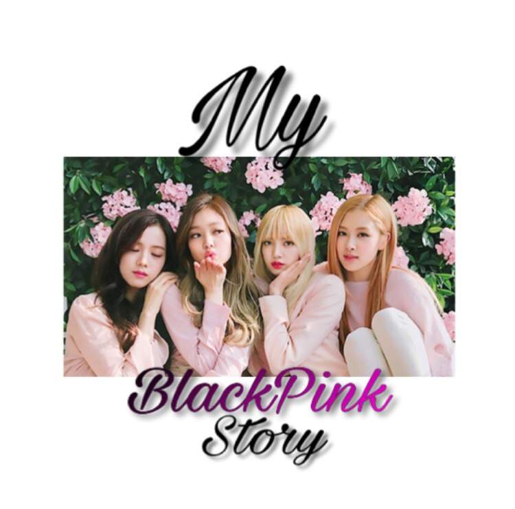 My BlackPink Story | K-Pop Amino