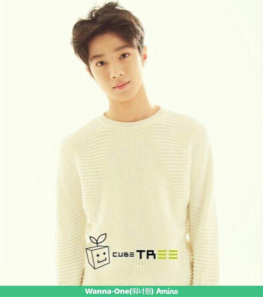 Wanna-One | Wiki | Wanna-One(워너원) Amino