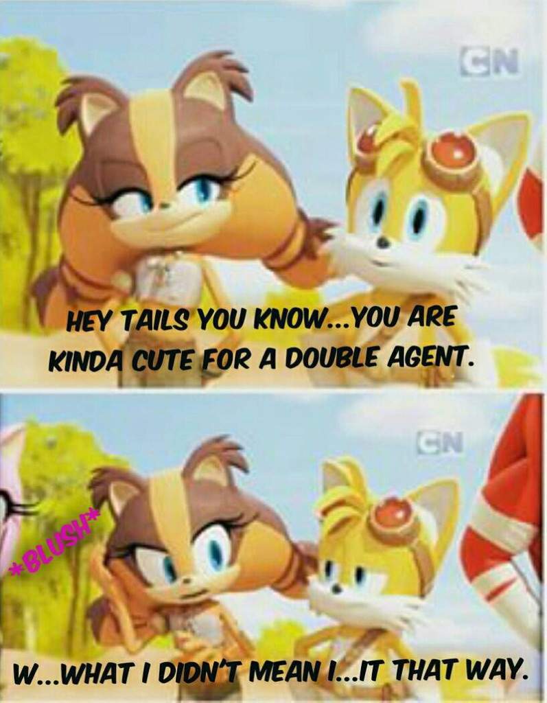 Sticks X Tails Sonic Boom Amino