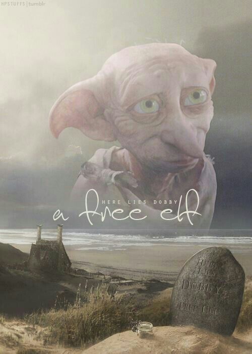 Hoy Es El Cumple De Dobby!! | •Anime• Amino