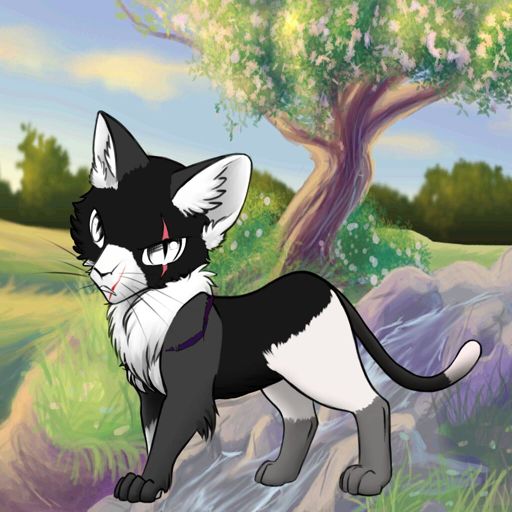 Brighttail | Wiki | °•Warriors Amino•° Amino