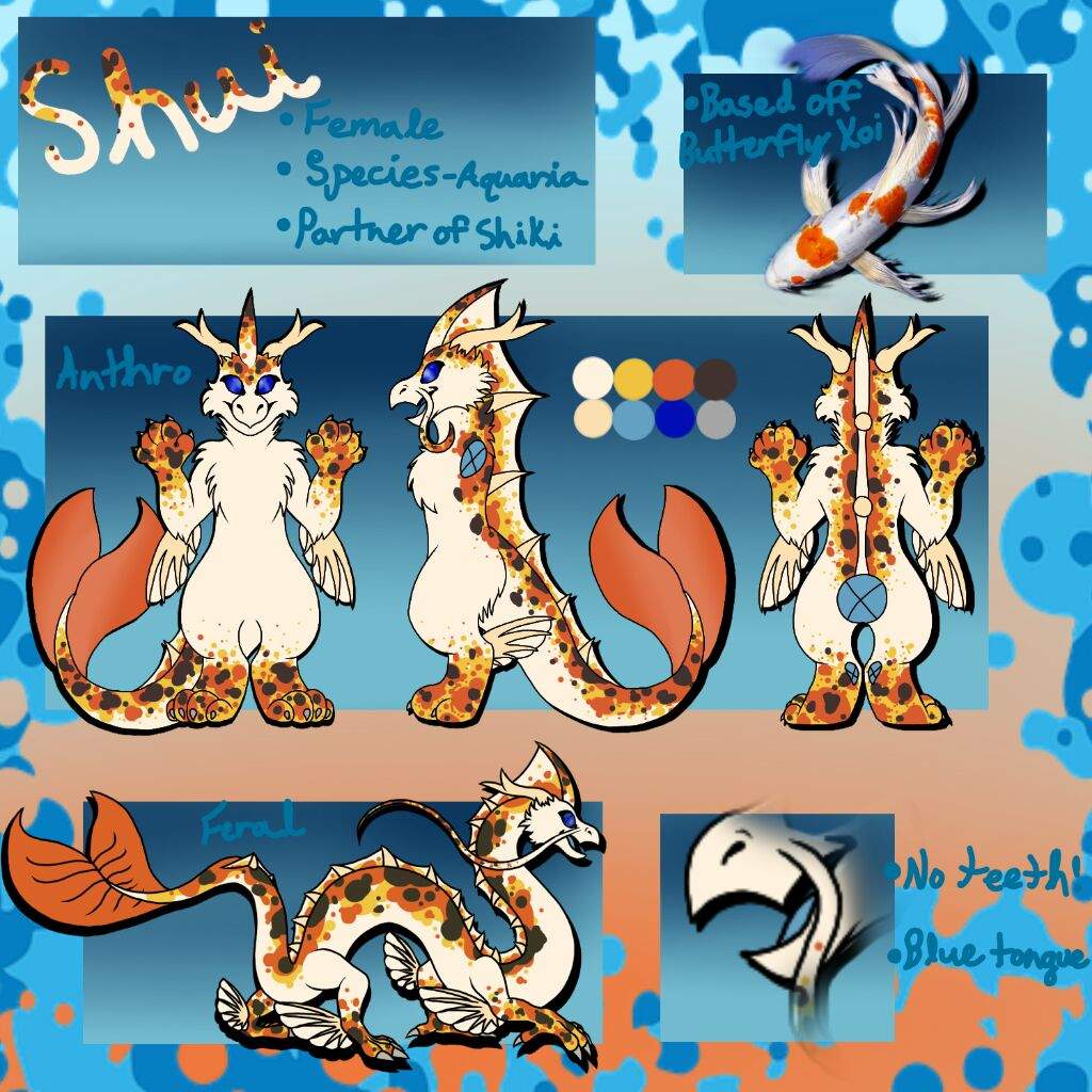 Shui - Full Fursona Reference Sheet | All Dragon Amino Amino