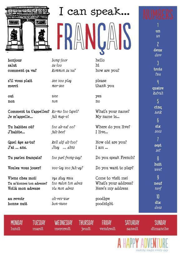 french-basics-learn-languages-amino-amino