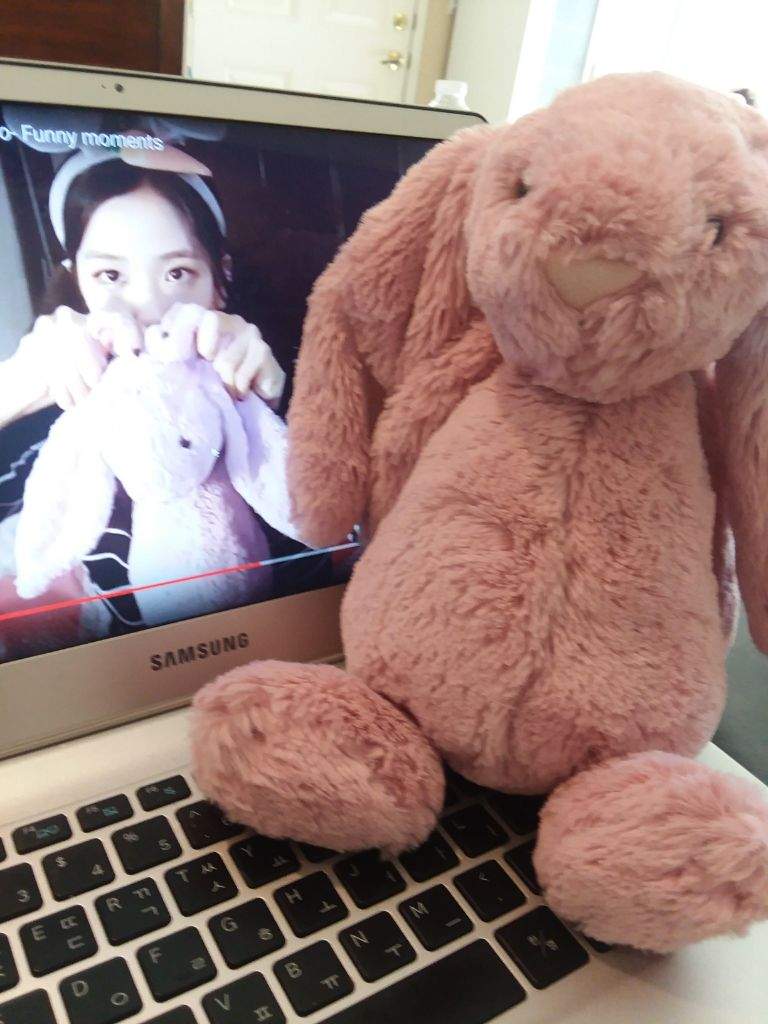 jisoo bunny doll