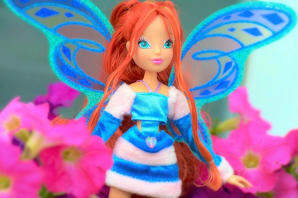 ☀️ NEW DOLLS 🔥 | Winx Club Amino