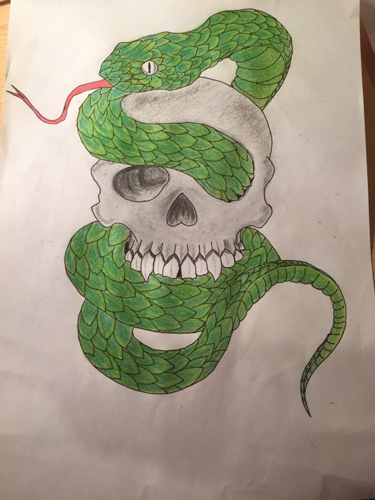 Featured image of post Cute Slytherin Snake Drawing My art snakes ball python corn snake milk snake tree boa
