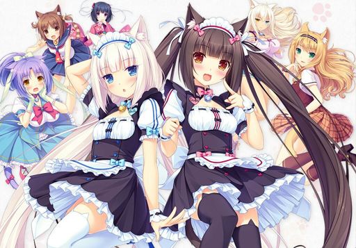 Nekopara | Wiki | Anime Amino