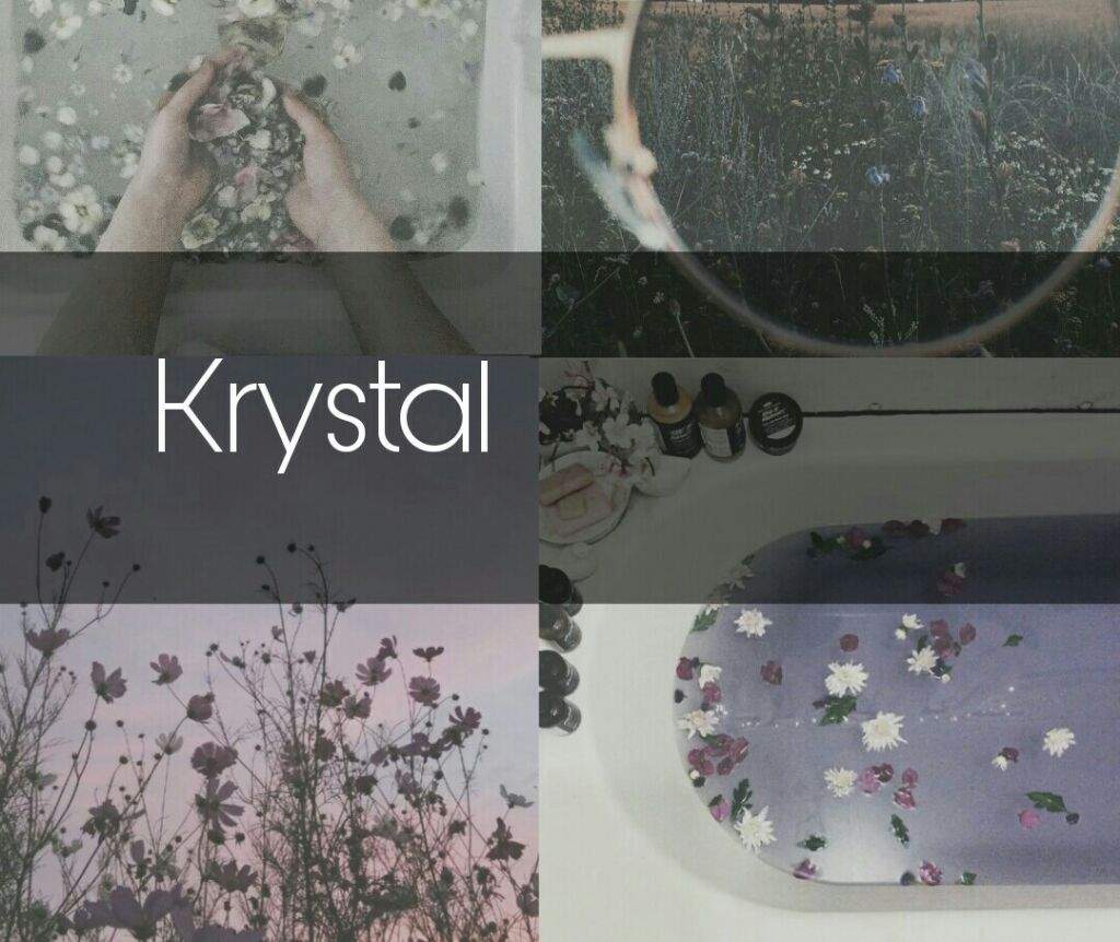 Tutorial Wallpaper Aesthetic Design Edicao Amino