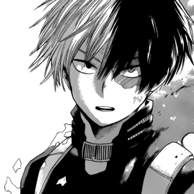 Manga shoto todoroki
