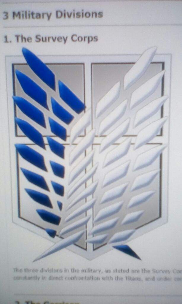 Im Going To Get The Survey Corps Logo As A Tattoo On My