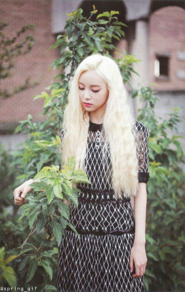 JINSOUL BLACK PHOTOSHOOT | LOOΠΔ Amino Amino