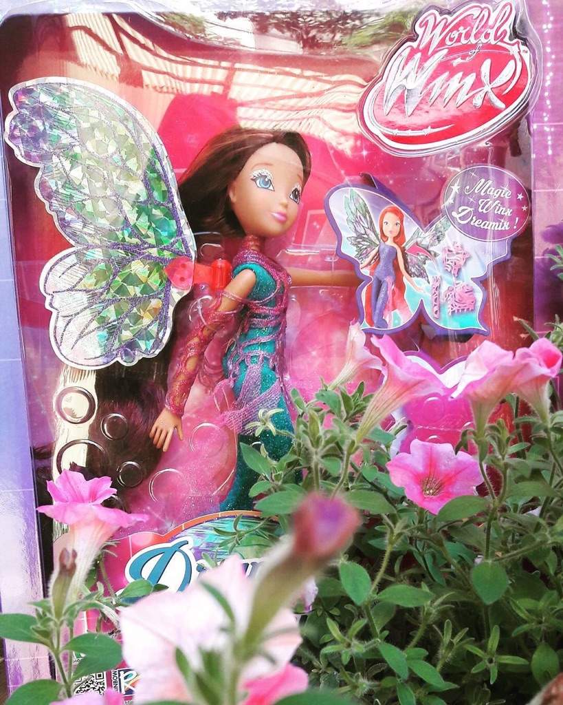 old winx dolls