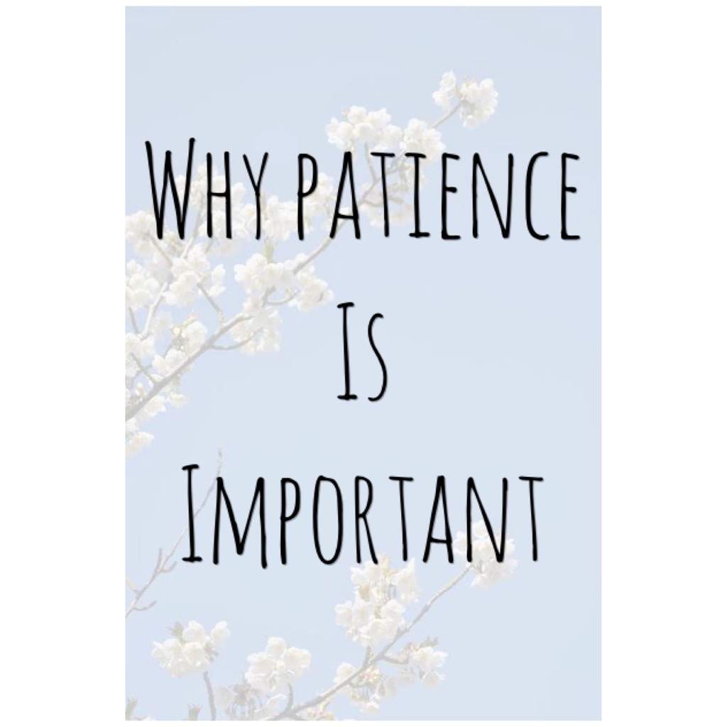 why-patience-is-important-korean-tips-korean-language-academy-amino