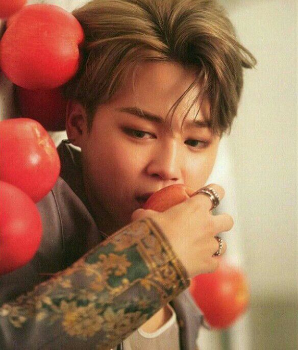 BTS Wings Concept Book Scan ARMY's Amino