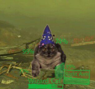 Wizard Cat VATS | Fallout Amino