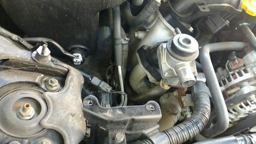 Progress on the RX-8 Engine Rebuild | Garage Amino