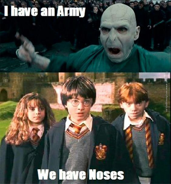 Memes Funny Harry Potter Pfp - Perpustakaan Sekolah