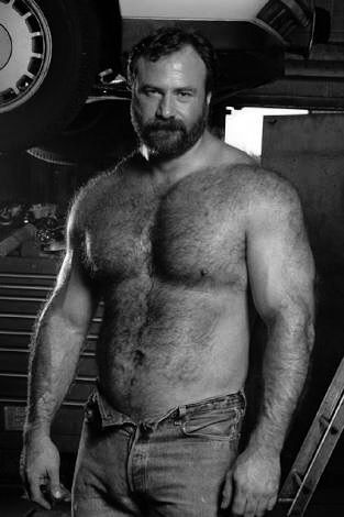 gay definition of bear