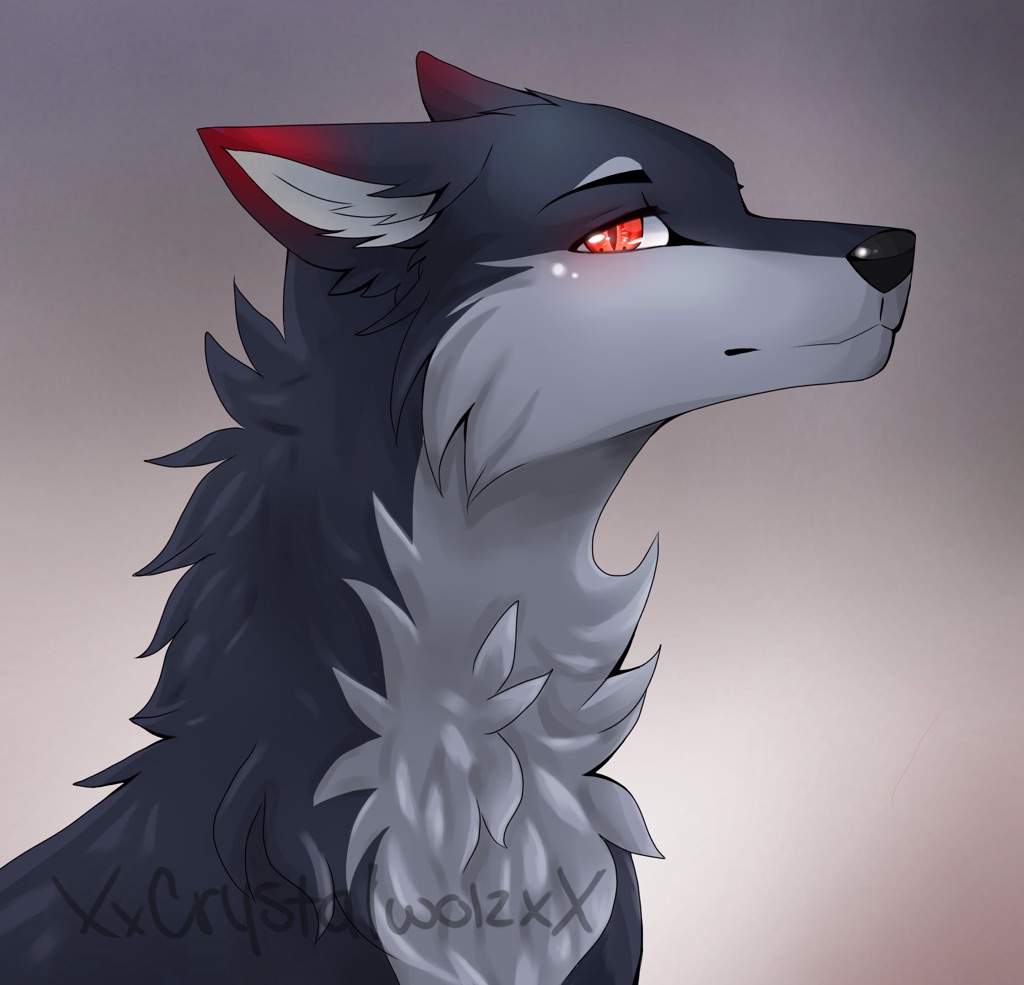 Aaron as a wolf🐺 Aphmau Amino