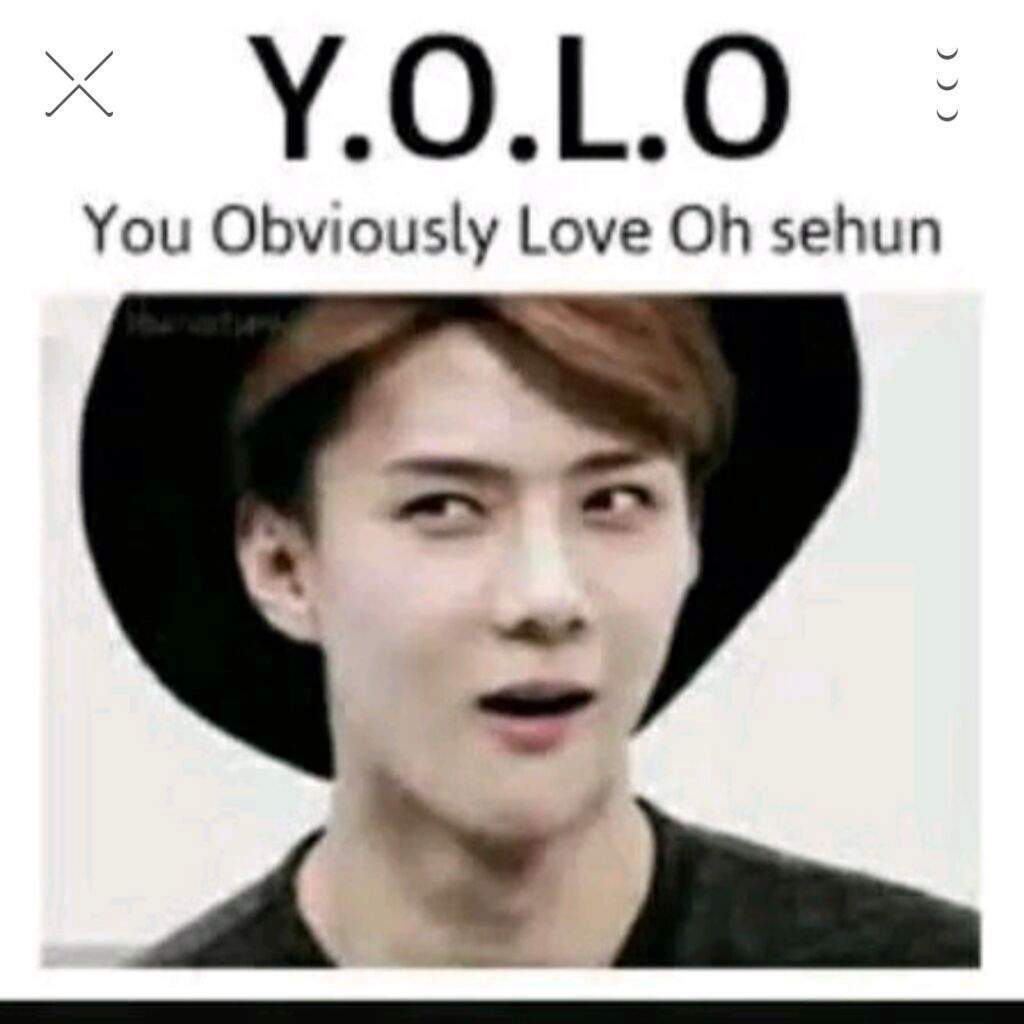 Random EXO Stuff PT 1EXO Memes And More Exo Ls Amino